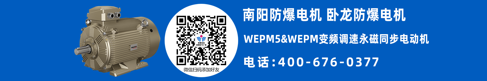 南陽WEPM電機(jī)